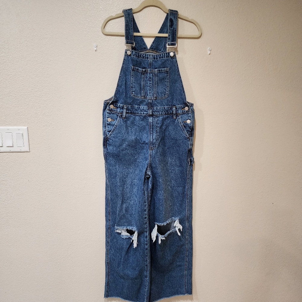 Pacsun Overalls Medium Blue Denim Distressed Ripped Workwear Overalls size Med